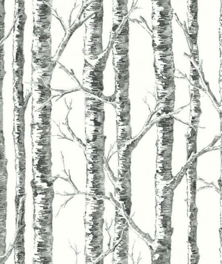 Birch - Papier Peint