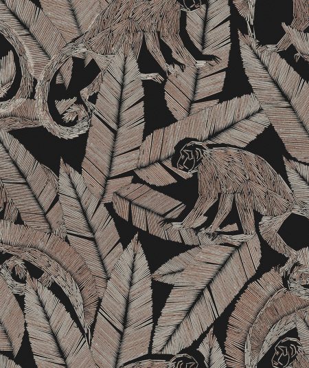 Monkey - Papier Peint