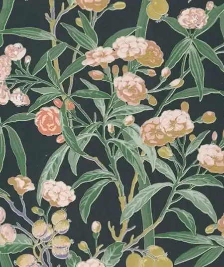 Habana - Papier Peint