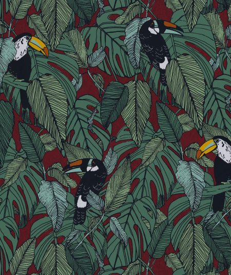 Tucan - Papier Peint