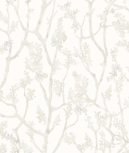 Arbre - Papier Peint