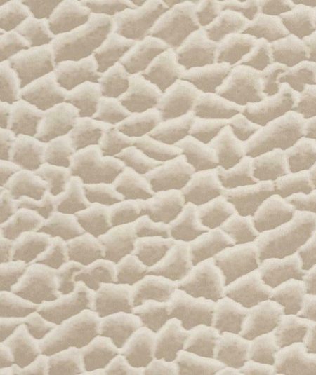 Squamae - Papier Peint