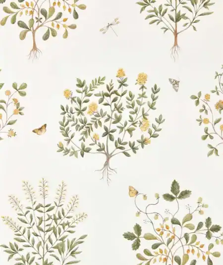 Papier peint Thyme Walk Sanderson Lichen Gooseberry, tons vert lichen et groseille.