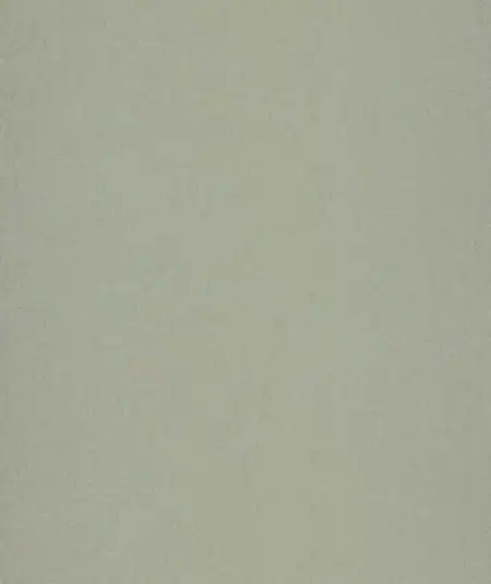 Caselio Chevron Uni Métallisé Irisé wallpaper with subtle metallic chevron texture and woven textile effect.