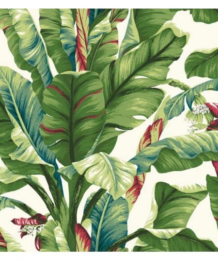 Papier peint tropical vert Banana Leaves Empire Wallpaper.