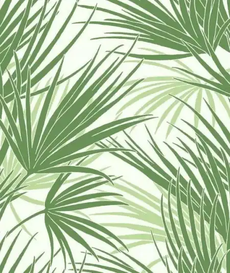 Papier peint Palmetto de Empire Wallpaper, style tropical vert pour salon ou chambre.