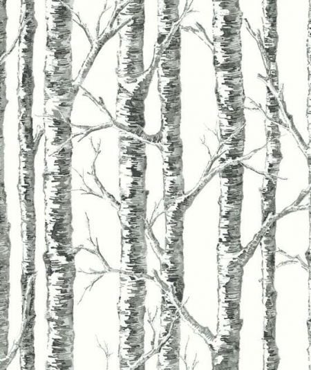 Papier peint Empire Birch, parfait pour un salon moderne avec motif de bouleaux gris et blanc.