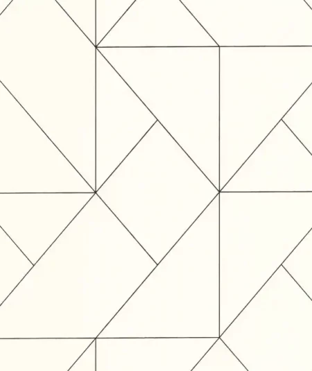 Subtilite - Papier Peint