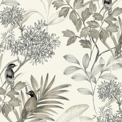 Birdsong - Papier Peint