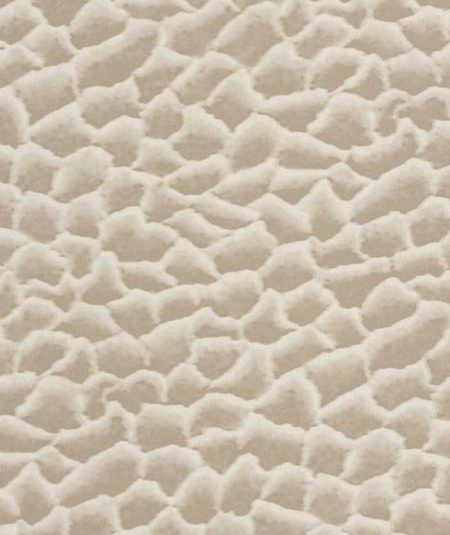 Squamae - Papier Peint