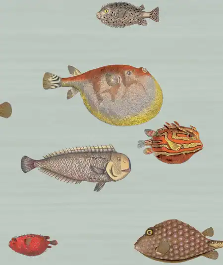 Papiers peints Empire Aquarium avec poissons colorés pour décoration de salon ou chambre.