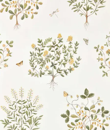 Thyme Walk | Highgrove Collection de Sanderson