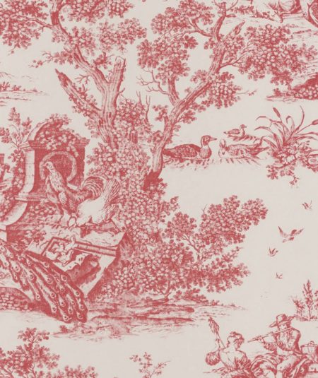 Toile Paon - Papier Peint