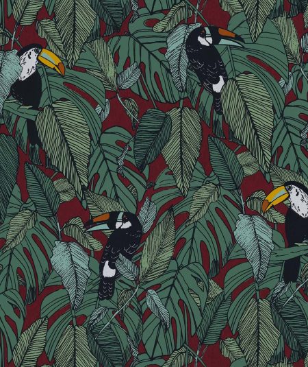 Tucan - Papier Peint