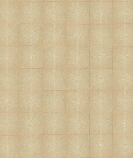 SHAGREEN
