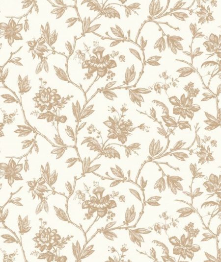 Rosa - Papier Peint